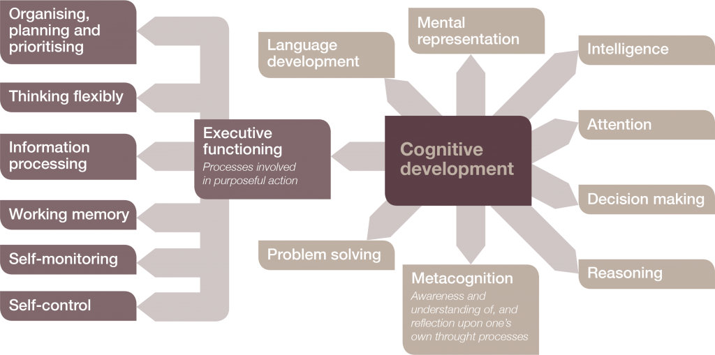 Areas of cognitive development