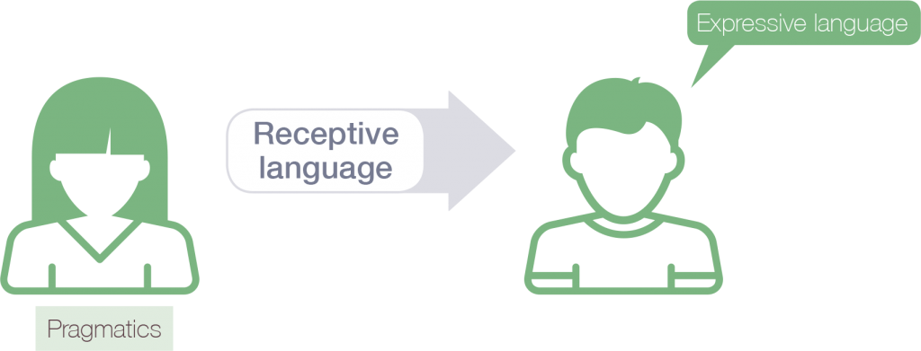 Processes involved in the use of language